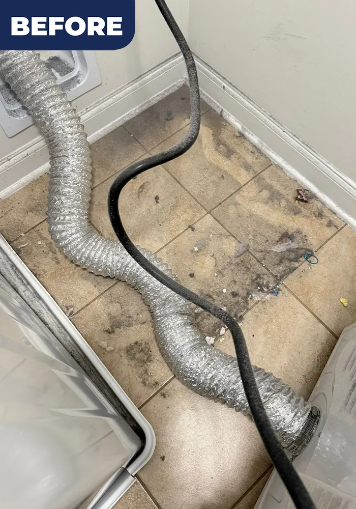 shine-time-before-01