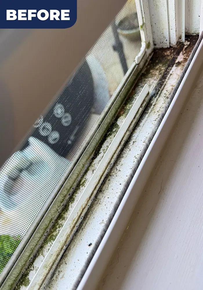 shine-time-before-02